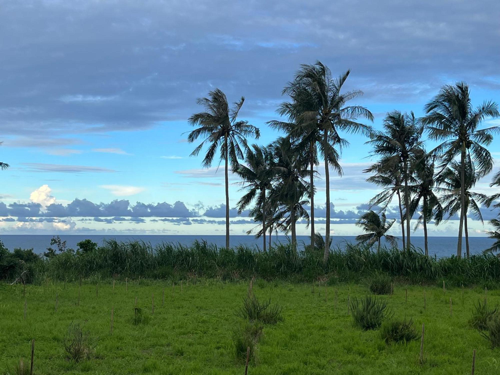 春夏秋冬海景民宿ocean View Motel تشينجونج المظهر الخارجي الصورة