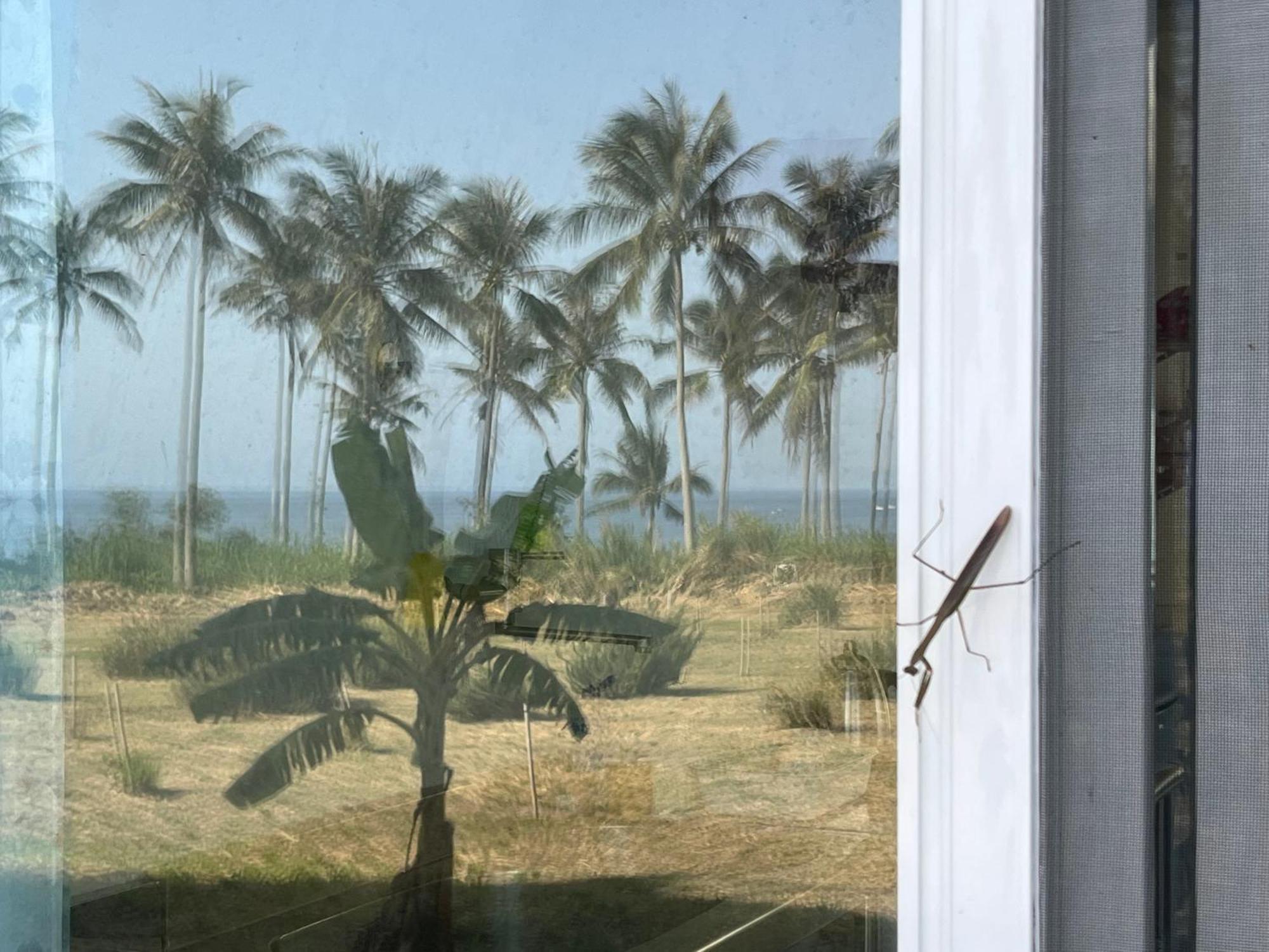 春夏秋冬海景民宿ocean View Motel تشينجونج المظهر الخارجي الصورة